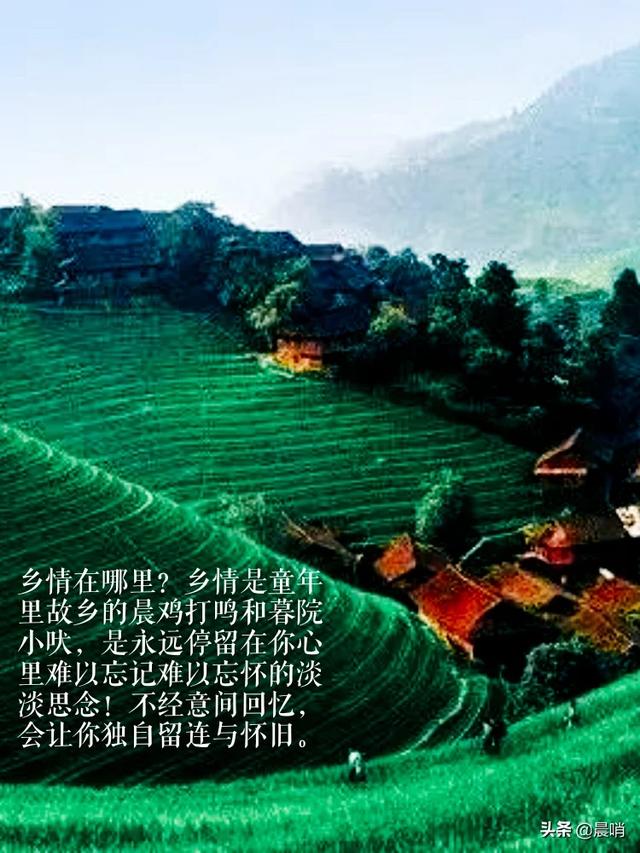 请认真和我恋爱樱花动漫（请认真和我谈恋爱樱花动漫免费）