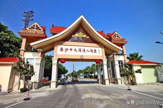 野花视频在线观看最新视频观看