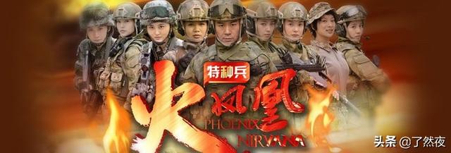 《特种兵之火凤凰》电视剧（特种兵之火凤凰电视剧演员表）
