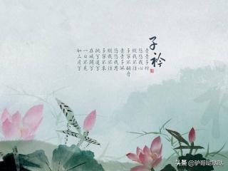 青青子衿悠悠我心诗经原文_青青子衿悠悠我心诗经原文朗读
